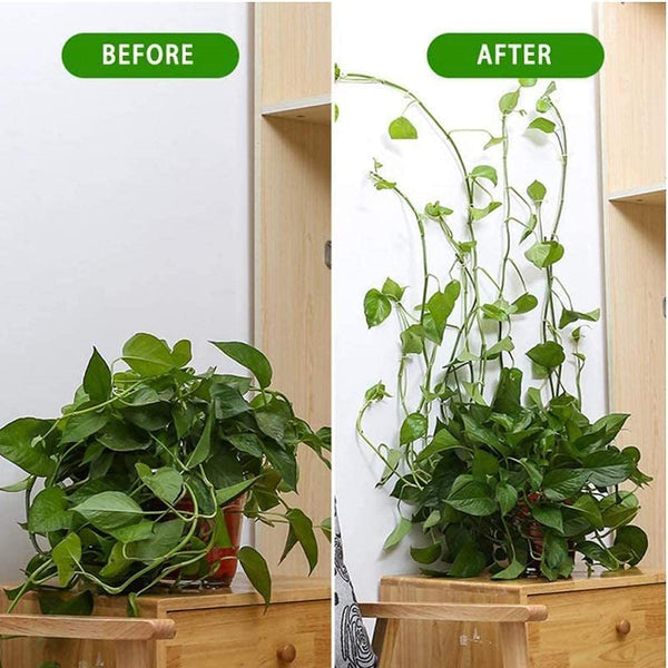 [60 Clips Set] Plant Climbing Self Adhesive Wall Clips