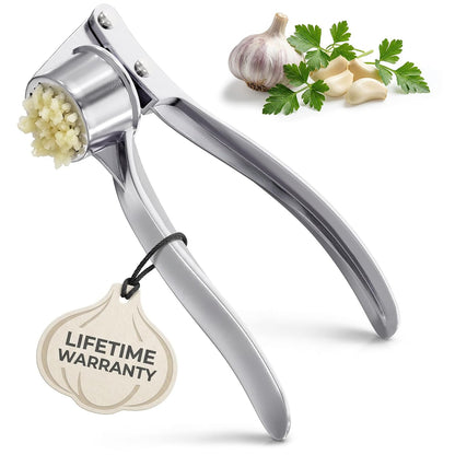 Stainless Steel Garlic & Ginger Crusher