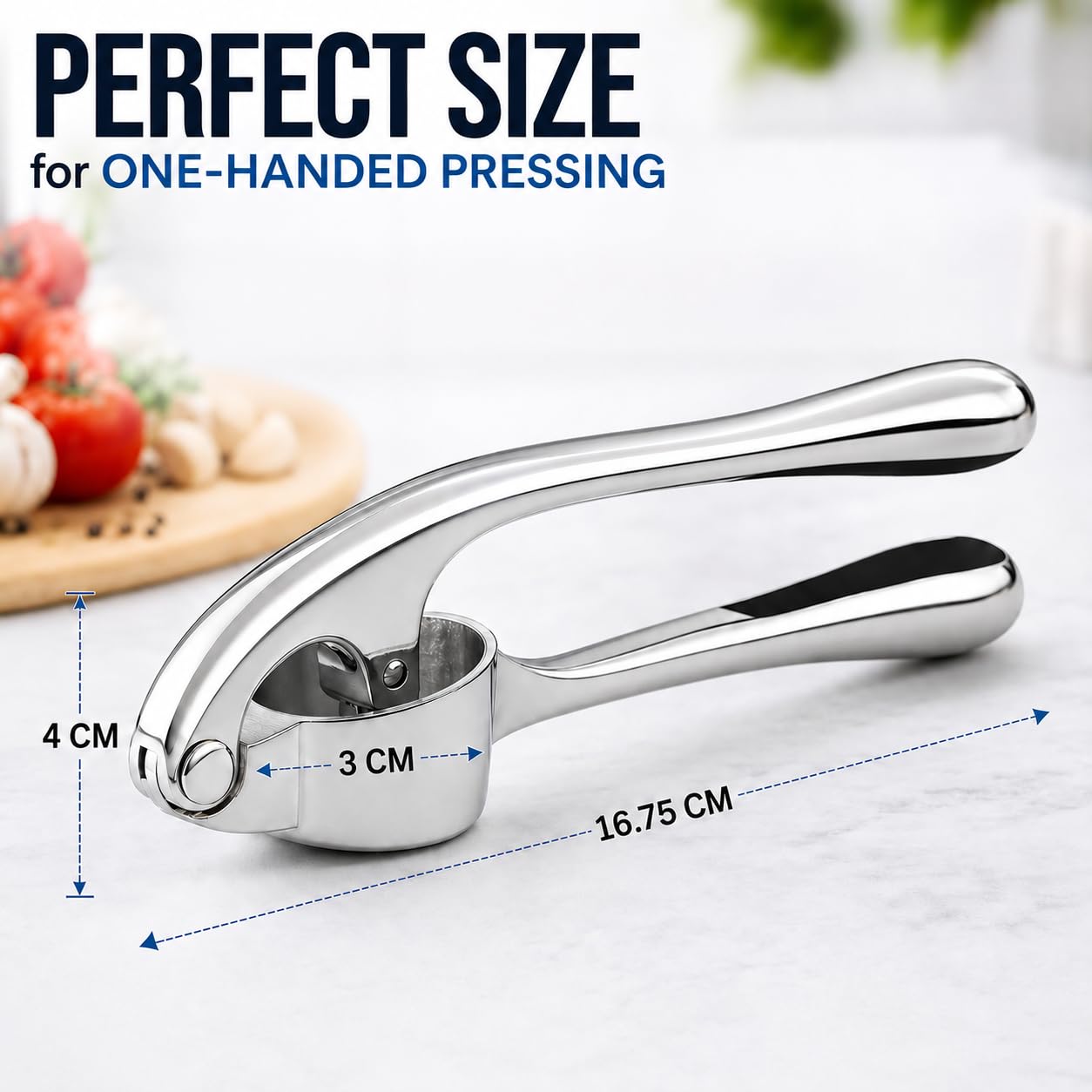 Stainless Steel Garlic & Ginger Crusher