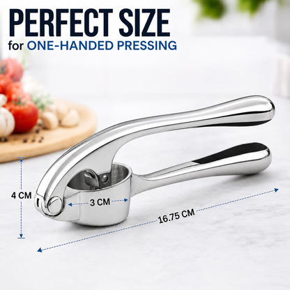 Stainless Steel Garlic & Ginger Crusher