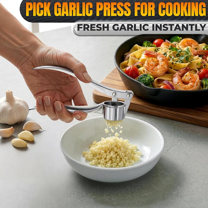 Stainless Steel Garlic & Ginger Crusher