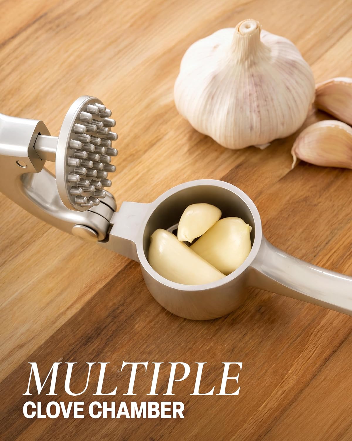Stainless Steel Garlic & Ginger Crusher