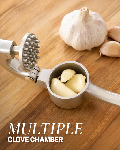 Stainless Steel Garlic & Ginger Crusher